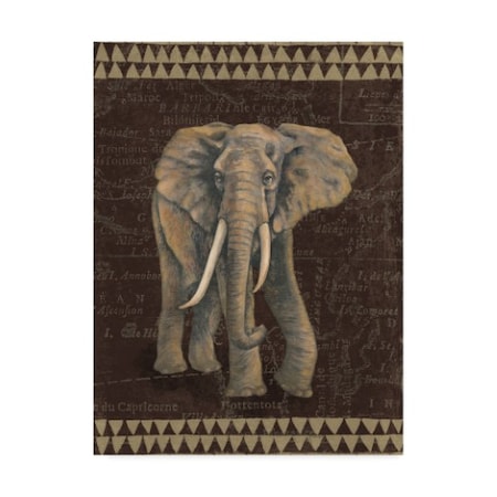 Naomi McBride 'Grand Elephant Traveller' Canvas Art,18x24